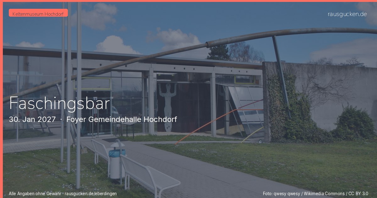 Faschingsbar – Foyer Gemeindehalle Hochdorf in Eberdingen