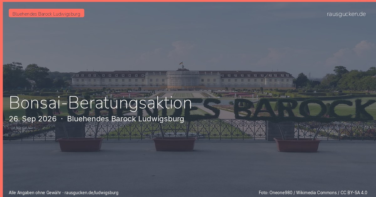 Bonsai-Beratungsaktion – Bluehendes Barock Ludwigsburg in Ludwigsburg