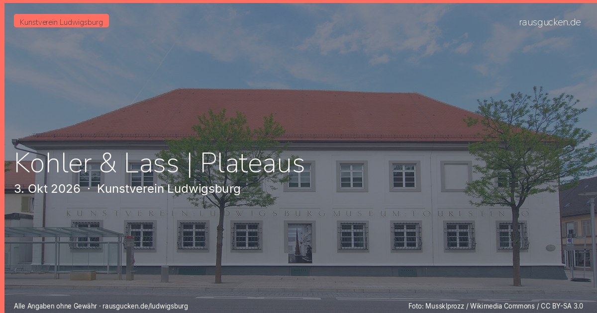 Kohler & Lass | Plateaus – Kunstverein Ludwigsburg in Ludwigsburg
